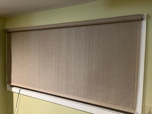Photo of free Roller shade (Tangletown)