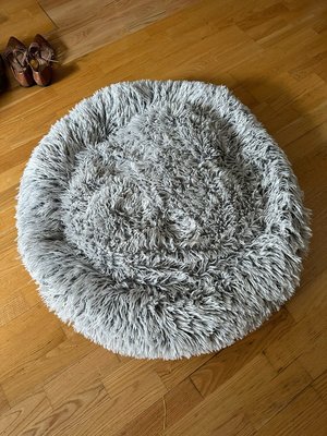 Photo of free Large dog bed (Columbia Heights)