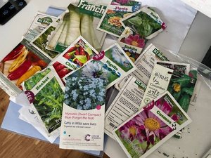 Photo of free Selection of open seed packets (Hazlemere HP15)