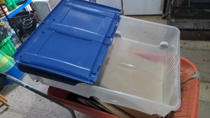 Photo of free 2 Storage boxes (Werrington)