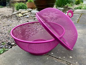 Photo of free Covered fruit bowl/ Basket (Colaton Raleigh, Sidmouth)