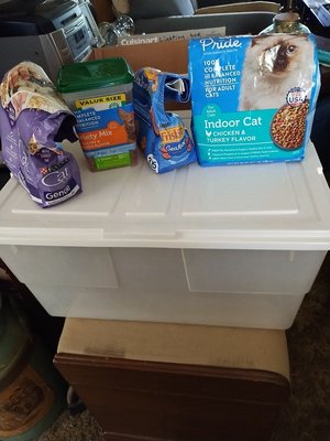 Photo of free Cat food my cats stopped eating (South Denton)