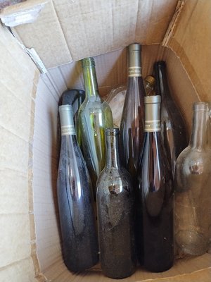 Photo of free 8 clean wine bottles (South Denton)