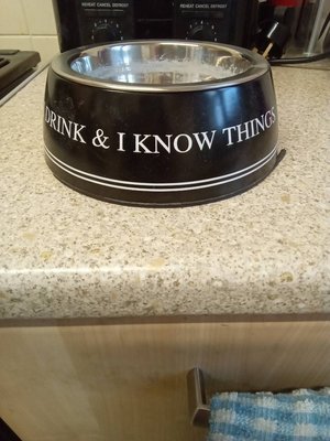 Photo of free Game of Thrones cat bowl and other cat bits (Fenlake MK42)