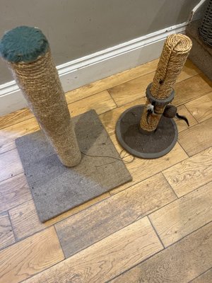 Photo of free Two Cat Scratching Posts (Hightown)