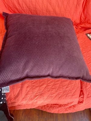 Photo of free New 2 throw pillows (Ventura county)
