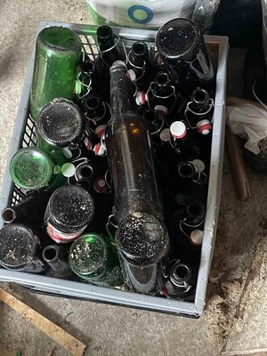 Photo of free Beer bottles (North Petherwin PL15)