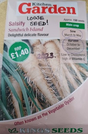 Photo of free Salsify Seeds. (Chichester PO19)