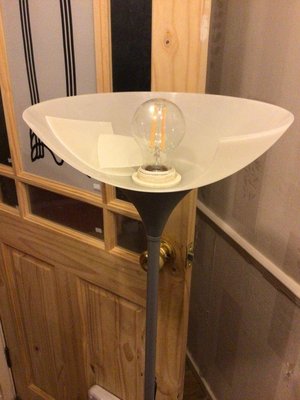 Photo of free Standard lamp (East Goscote LE7)