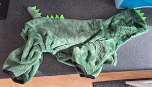 Photo of free Small pet outfit green dragon (Codicote SG4)