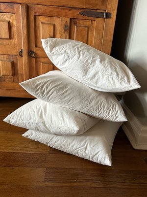 Photo of free Four IKEA Fjadrar cushion inserts (Neutral Bay)