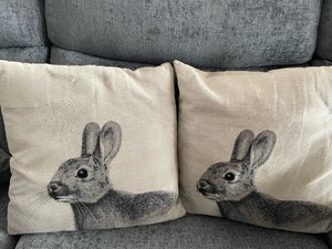 Photo of free 2 cushions (Dronfield S18)