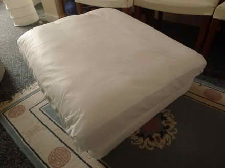 Photo of free Synthetic sofa cushions (Cowley OX4) #1