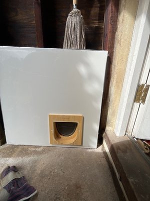 Photo of free Cat flap within door panel (Arundel BN18)