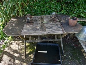 Photo of free Garden table (Lewes BN7)