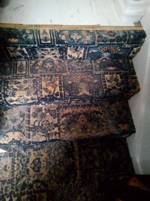 Photo of free Stairs carpet (Blackford Bridge BL9)