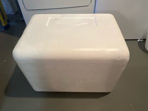 Photo of free Styrofoam cooler (Falls church city)