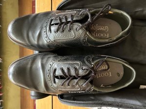 Photo of free Footjoy golf shoes size 7 1/2 (Toppesfield CO9)