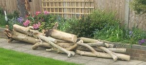 Photo of free Logs for woodburning stove or open fire (Leigh Beck SS8)