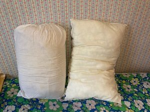 Photo of free Two pillows (Higher Woodhill BL8)