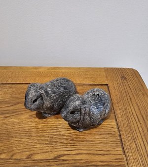 Photo of free Salt & Pepper Shakers (West Hendon NW9)