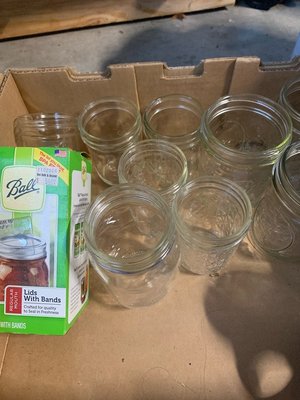 Photo of free Mason jars and unused lids (Rex Manor)