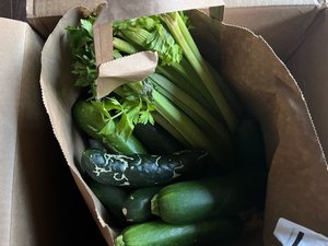 Photo of free One big box of vegetables (94022)