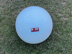 Photo of free Body Sculpture Gym Ball (Winchcombe)