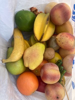 Photo of free Bag of fake plastic fruit (94087)