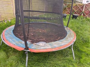 Photo of free 8’ foot trampoline, needs a clean (RM5)