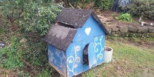 Photo of free Hen House (Project) (Cromford, DE4)