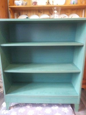 Photo of free Green bookcase (Willington DL15)