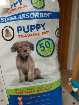 Photo of free Puppy training pads (Stretford)