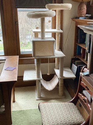 Photo of free Tall white cat tree (City east: Park-Monroe Ave)