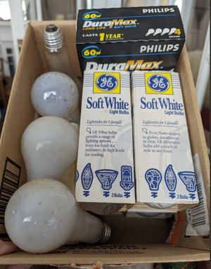 Photo of free Incandescent light bulbs (NE Portland (Laurelhurst))