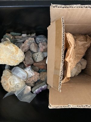 Photo of free Small Box of Geodes, fossils + (Teignmouth)