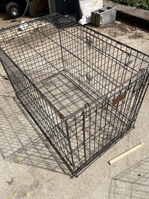 Photo of free Dog crate (Bowie)