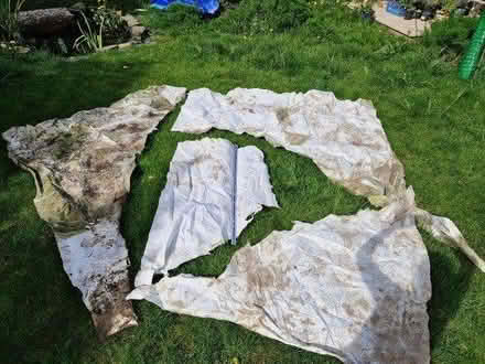 Photo of free Bog garden liner? (Rusthall, TN4) #2