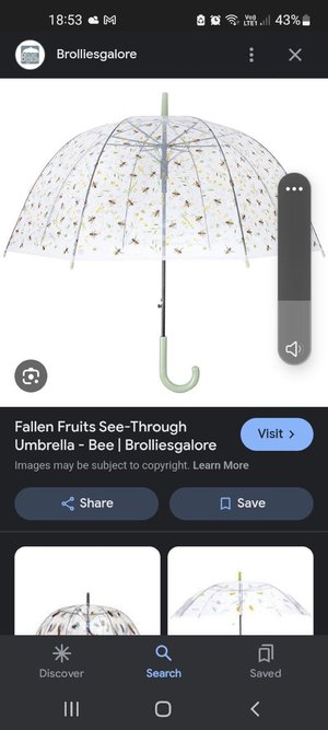 Photo of Transparent umbrellas (Colwick NG4)