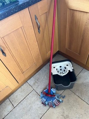 Photo of free Bucket and mop (Henley-on-Thames RG9)