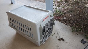 Photo of free Large Dog Carrier (Table Mesa)