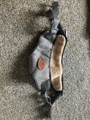 Photo of free Dog harness (Okehampton)