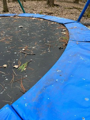 Photo of free Trampoline (Danby (Danby (south end Comfort road))