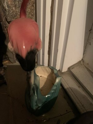 Photo of free Flamingo Decor (South Brampton)