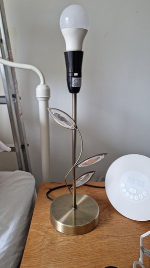 Photo of free Lamp no shade (Scotstounhill)