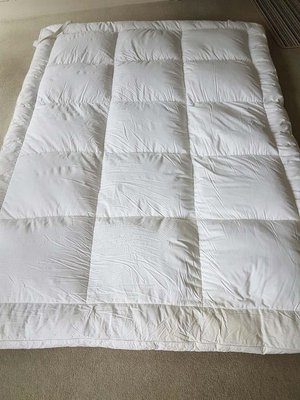 Photo of free King size mattress topper (Freshford BA2)