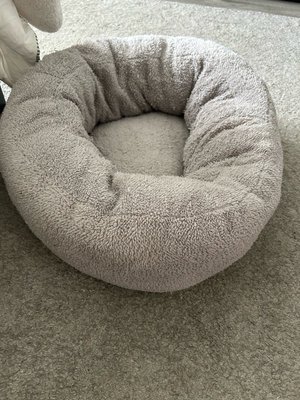 Photo of free Cat/dog bed (North Hollywood)