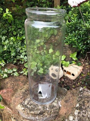 Photo of free Glass vase (Broadclyst)