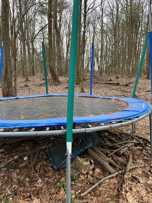 Photo of free Trampoline (Danby (Danby (south end Comfort road))