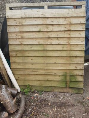 Photo of free Fence panel (Downend BS16)